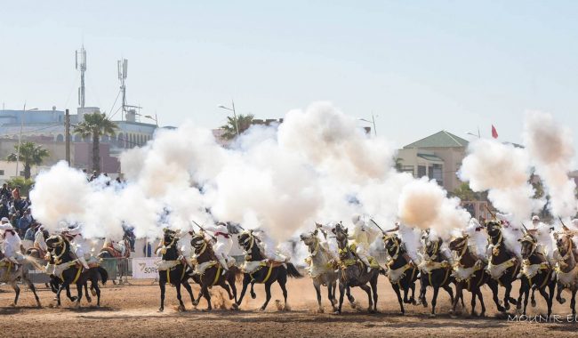 تسعون سربة تحيي فن التبوريدة بموسم مولاي عبد الله أمغار واهتمام واسع من قبل البعثات الدبلوماسية بهذا التراث الثقافي الأصيل.