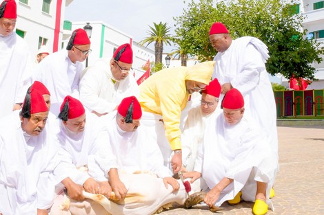 الملك محمد السادس يؤدي صلاة العيد بمدينة تطوان و ينحر الأضحية