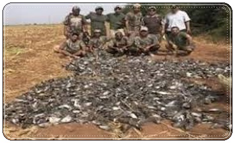 عزيز أخنوش يتخد هذا الاجراء في حق المدير الجهوي للمياه و الغابات بجهة مراكش أسفي و آخرين