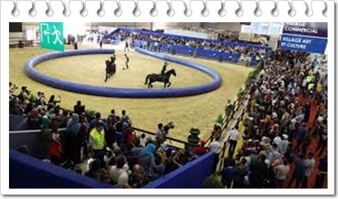 Programme du Samedi 19 octobre – Salon Du Cheval d’El Jadida 2019