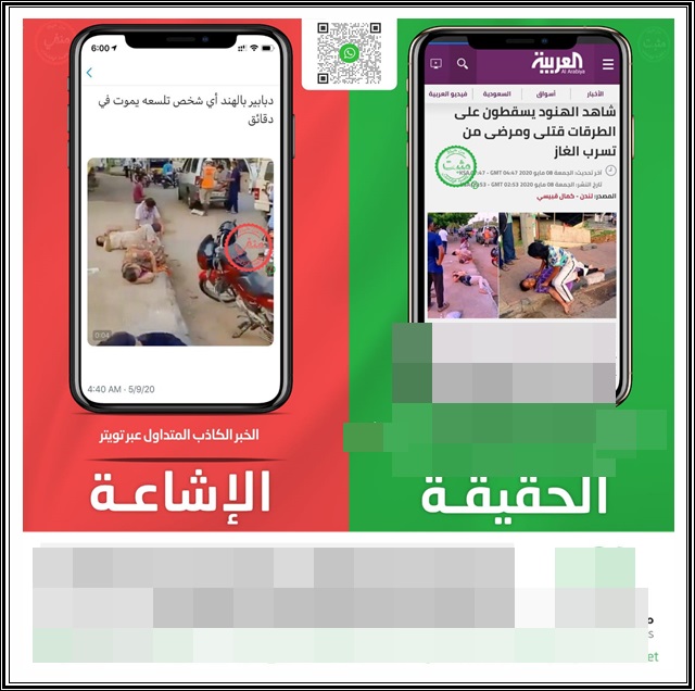 الحقيقة الكاملة للدبور القاتل بالهند