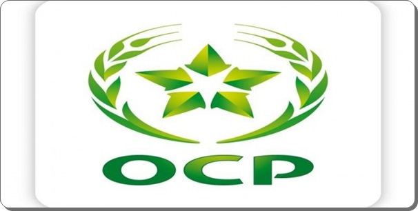 مدارات شوارع مدينة الجديدة تنتعش بفضل تدخل OCP