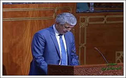 وزير الفلاحة محمد الصديقي يعد بتعويض متضرري الحشرة القرمزية