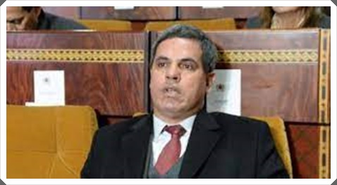 ألمانيا و الصحراء المغربية شراكة متجددة