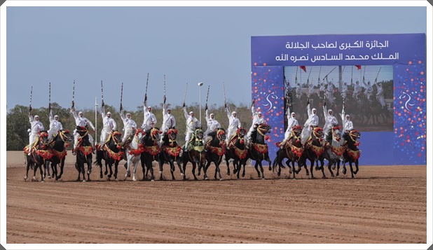 ماذا استفادت مدينة الجديدة من معرض الفرس؟