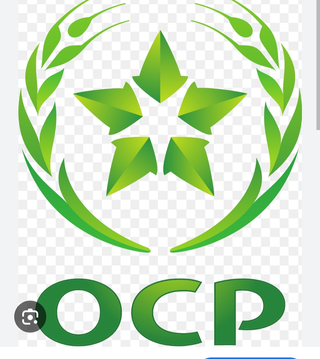 المجمع الشريف للفوسفاط OCP موقع الگنتور يدعم النسخة الأولى للمسابقة الجهوية لكاس الحسن الثاني للفروسية بمدينة الشماعية إقليم اليوسفية