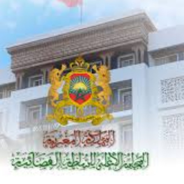 سماسرة يهزون محاكم المملكة