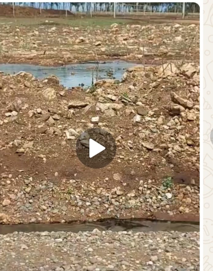 سكان زاوية سيدي اسماعيل تحت رحمة كارثة بيئية خطيرة سببها مجزرة